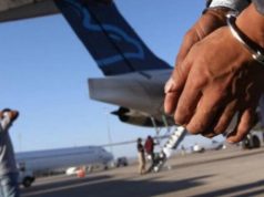 Cuatro dominicanos aceptan extradición voluntaria por estafar a ancianos en EE. UU.